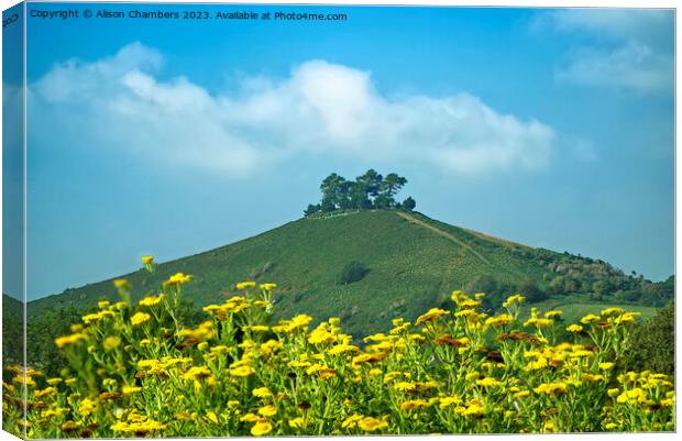 Colmers Hill Dorset Canvas Print by Alison Chambers