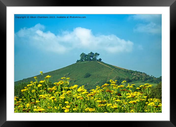 Colmers Hill Dorset Framed Mounted Print by Alison Chambers