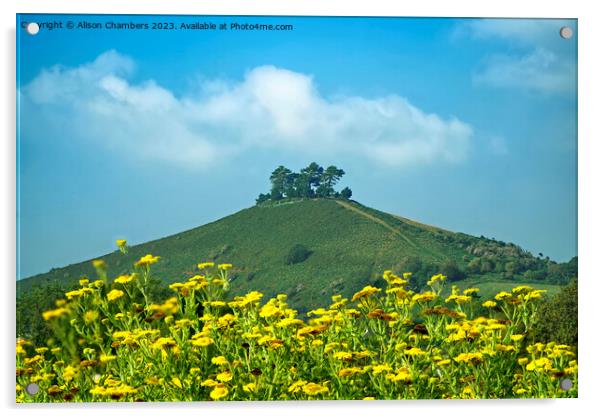 Colmers Hill Dorset Acrylic by Alison Chambers