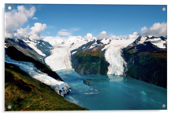 Aerial shot of three glaciers calving into Prince William Sound Acrylic by Madeleine Deaton