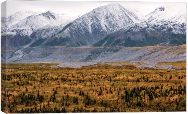 Alaska in Autumn Canvas Print by Madeleine Deaton
