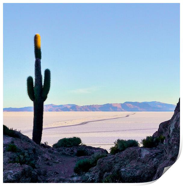 Cactus at Sunrise  Print by Madeleine Deaton