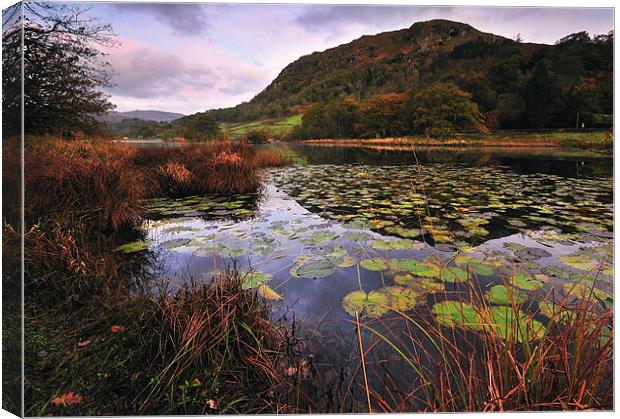 Rydal Water Canvas Print by Jason Connolly