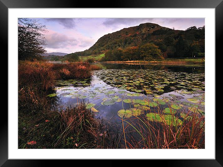 Rydal Water Framed Mounted Print by Jason Connolly