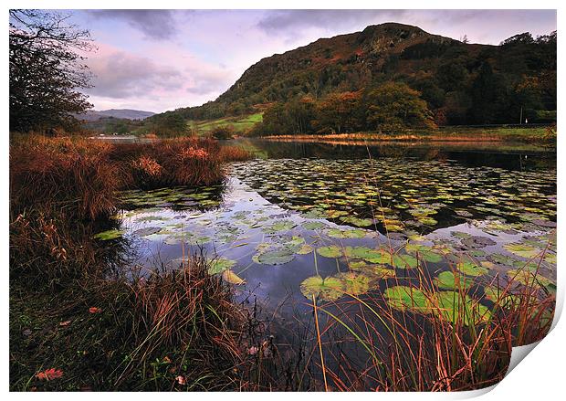 Rydal Water Print by Jason Connolly