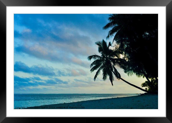 Silhouette of palm tree at dusk on a beach in Rarotonga Framed Mounted Print by Madeleine Deaton