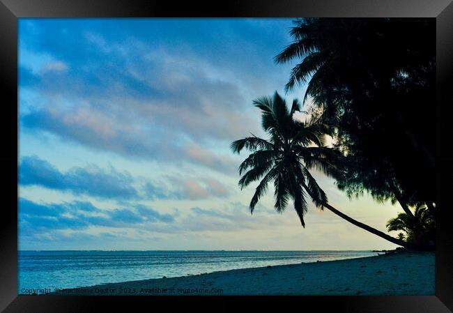 Silhouette of palm tree at dusk on a beach in Rarotonga Framed Print by Madeleine Deaton