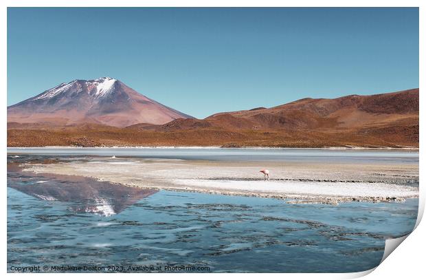 Bolivian Volcano Reflections  Print by Madeleine Deaton