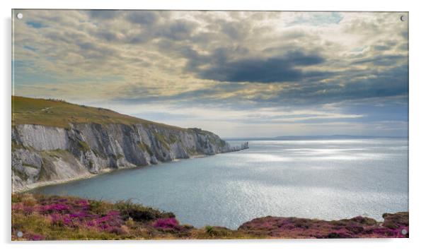 Alum Bay & Needles . Isle of Wight  Acrylic by Philip Enticknap