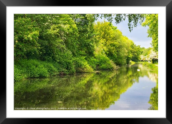The Hidden Magic. Framed Mounted Print by 28sw photography