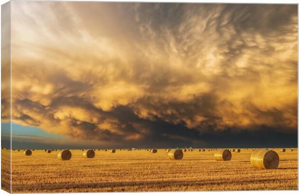 Mammatus clouds & Hay-bails at sunset Canvas Print by John Finney