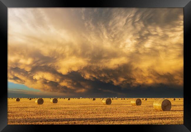 Mammatus clouds & Hay-bails at sunset Framed Print by John Finney