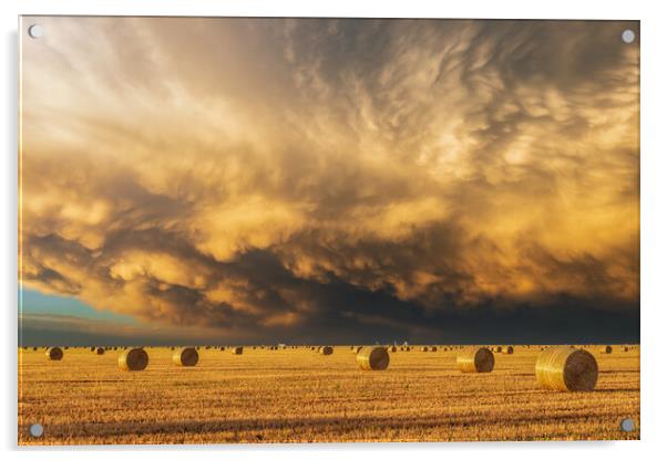 Mammatus clouds & Hay-bails at sunset Acrylic by John Finney