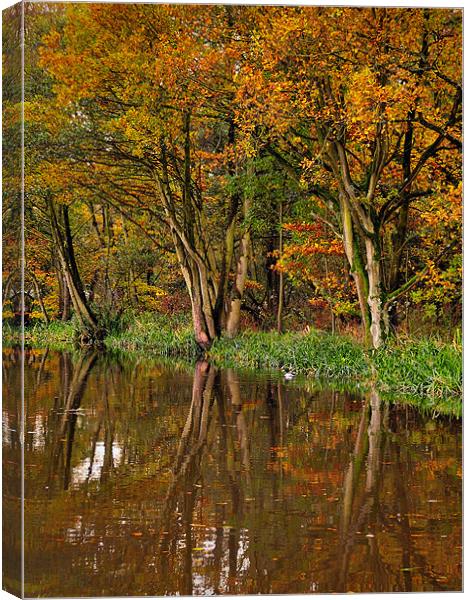 Autumnal Reflections Canvas Print by Jason Connolly