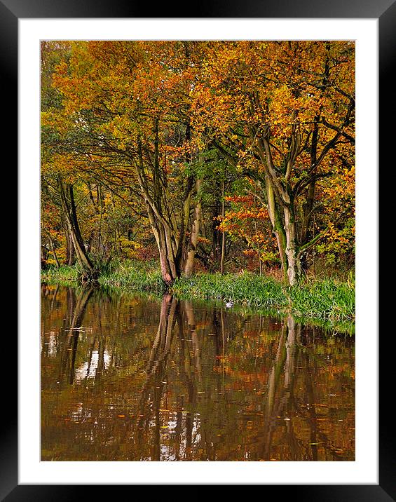 Autumnal Reflections Framed Mounted Print by Jason Connolly