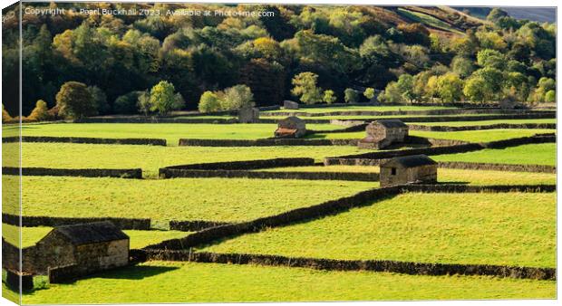Swaledale Barns Yorkshire Dales Countryside pano Canvas Print by Pearl Bucknall
