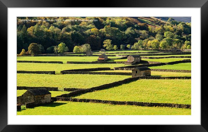 Swaledale Barns Yorkshire Dales Countryside pano Framed Mounted Print by Pearl Bucknall