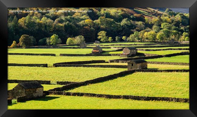 Swaledale Barns Yorkshire Dales Countryside pano Framed Print by Pearl Bucknall
