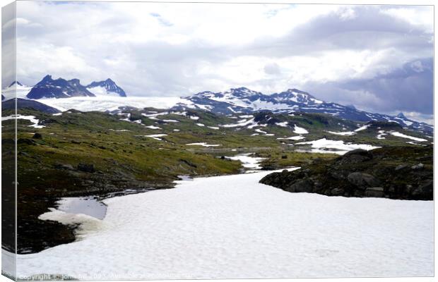 Glacial Peaks in Sognefjellet, Norway Canvas Print by john hill