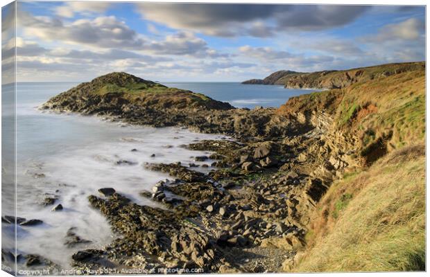 Headland in Whitesands Bay  Canvas Print by Andrew Ray