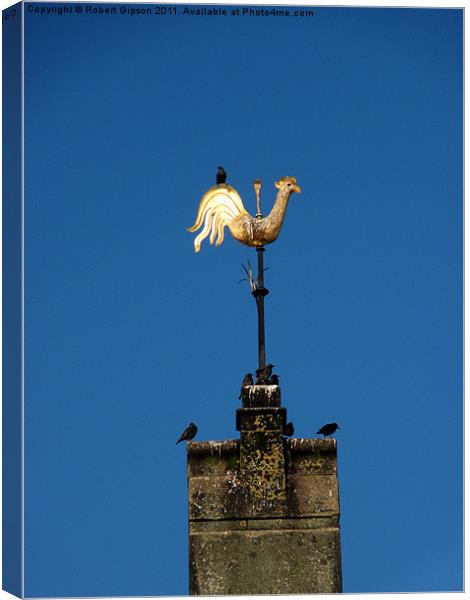 Weather vane High Perch Canvas Print by Robert Gipson