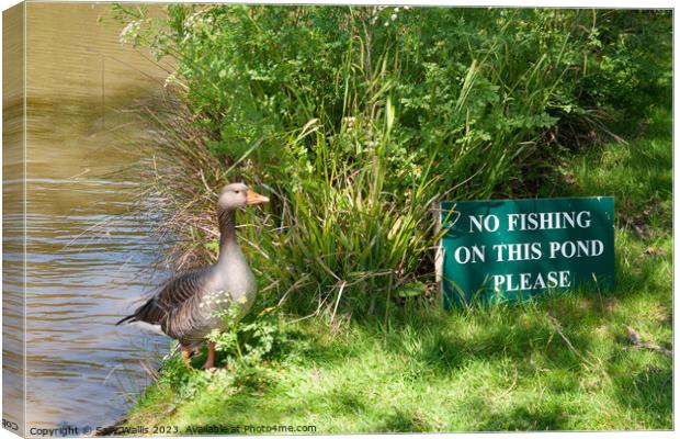 No Fishing ! Canvas Print by Sally Wallis