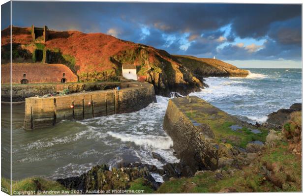 Morning at Porthgain Canvas Print by Andrew Ray