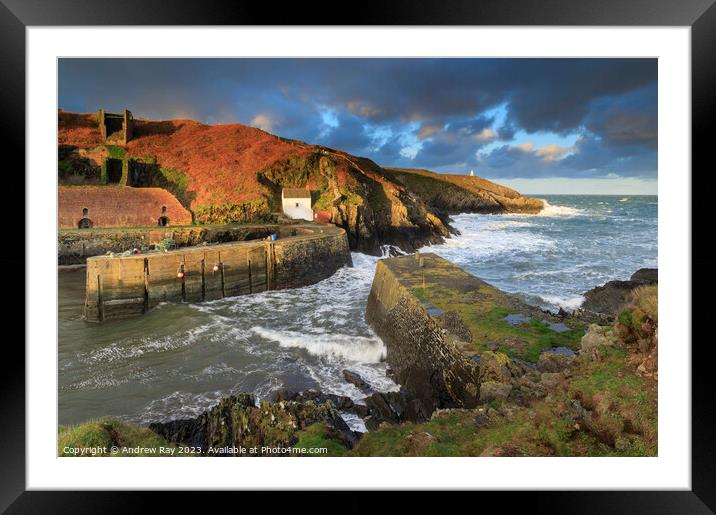 Morning at Porthgain Framed Mounted Print by Andrew Ray