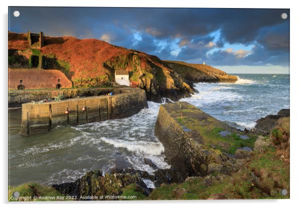 Morning at Porthgain Acrylic by Andrew Ray