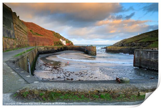 Porthgain at sunrise  Print by Andrew Ray