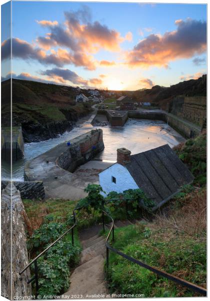 Sunrise at Porthgain Canvas Print by Andrew Ray