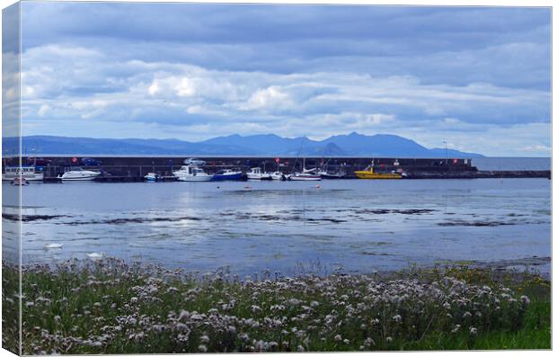 Maidens harbour, South Ayrshire Canvas Print by Allan Durward Photography