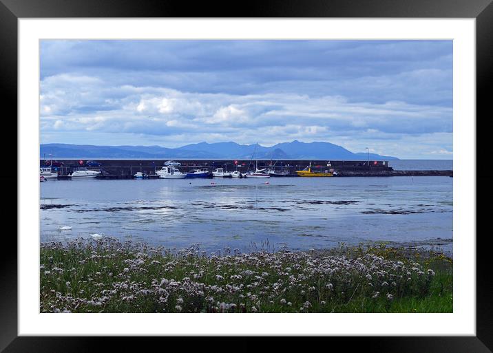 Maidens harbour, South Ayrshire Framed Mounted Print by Allan Durward Photography