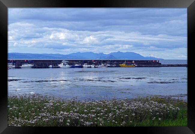 Maidens harbour, South Ayrshire Framed Print by Allan Durward Photography