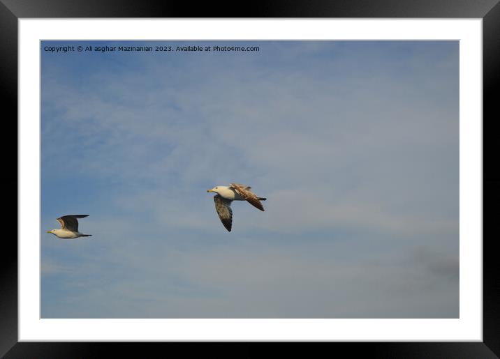 Sky object Framed Mounted Print by Ali asghar Mazinanian