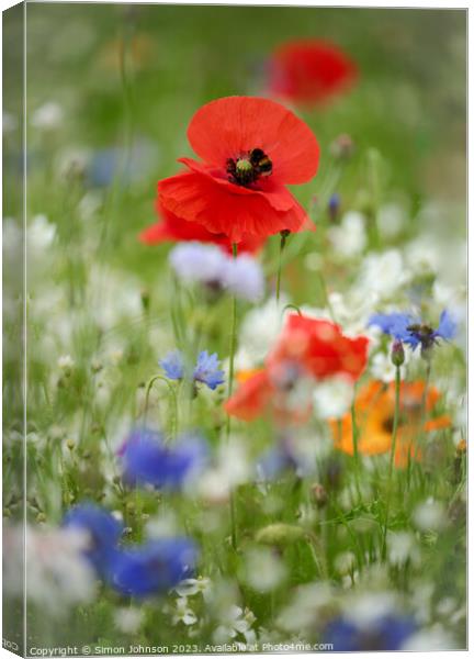 poppy with bee Canvas Print by Simon Johnson