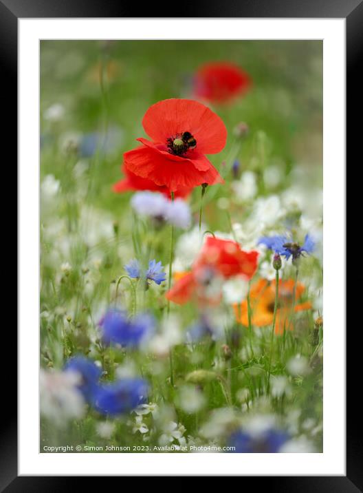 poppy with bee Framed Mounted Print by Simon Johnson