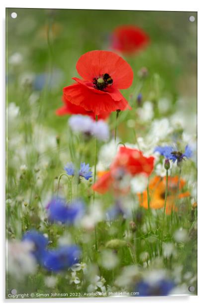 poppy with bee Acrylic by Simon Johnson