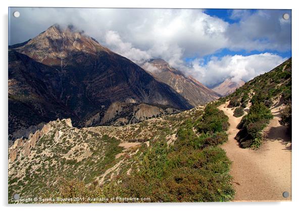 Trekking Path Manang to Yak Kharka Acrylic by Serena Bowles