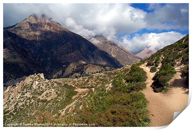 Trekking Path Manang to Yak Kharka Print by Serena Bowles