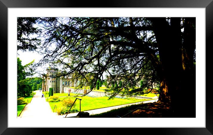 Abstract Lyme Park Framed Mounted Print by Rachael Smith