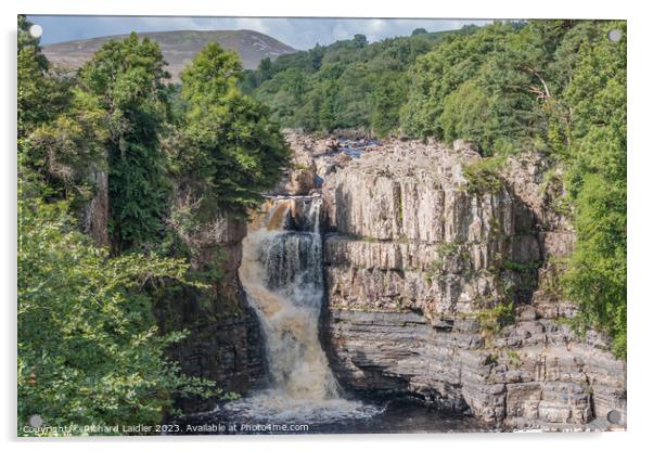 Summer Morning at High Force Waterfall, Teesdale (2) Acrylic by Richard Laidler
