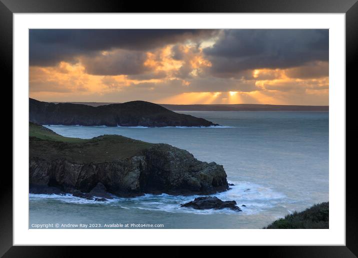 Headlands at sunrise (Solva)  Framed Mounted Print by Andrew Ray