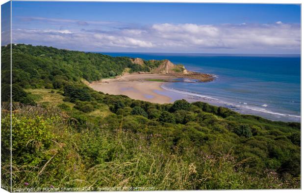 Clifftop view of Cayton Bay, North Yorkshire Canvas Print by Michael Shannon