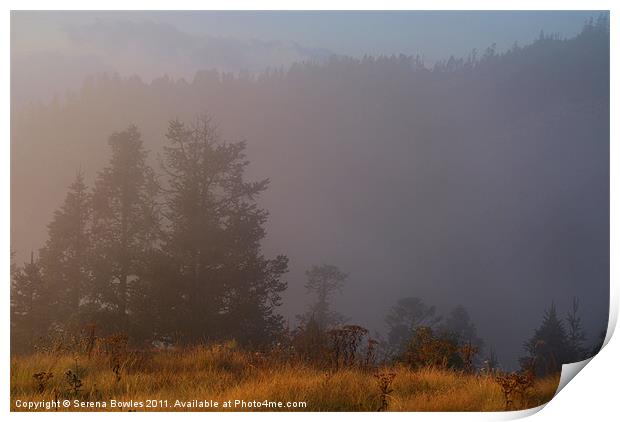 Morning Mist Poon Hill, Himalayas, Nepal Print by Serena Bowles