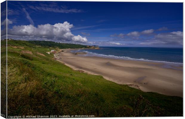 Panoramic Beauty of Cayton Bay Canvas Print by Michael Shannon