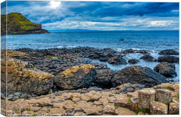 Giants Causeway, Antrim, Northern Island Canvas Print by Stuart Chard