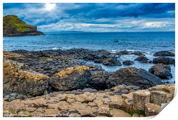 Giants Causeway, Antrim, Northern Island Print by Travel and Pixels 