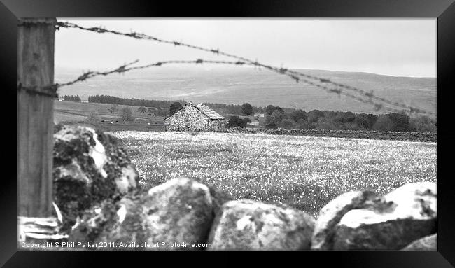 Desolate Barn Framed Print by Phil Parker