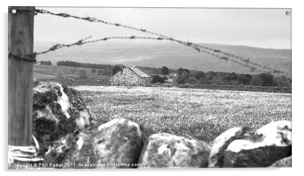 Desolate Barn Acrylic by Phil Parker